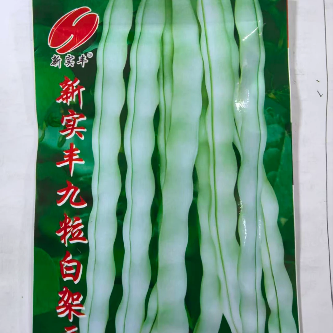 新实丰九粒白架豆角种子嫩荚绿色品质好商品性好