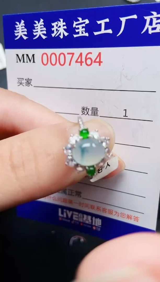 翡翠银S925镶嵌颈饰7464