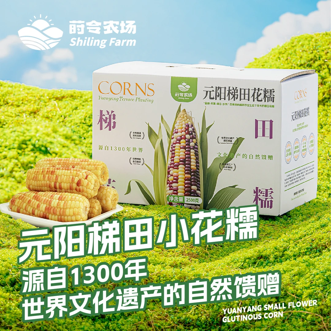 云南元阳梯田香甜小花5斤（礼盒装）非转基因鲜玉米宝宝