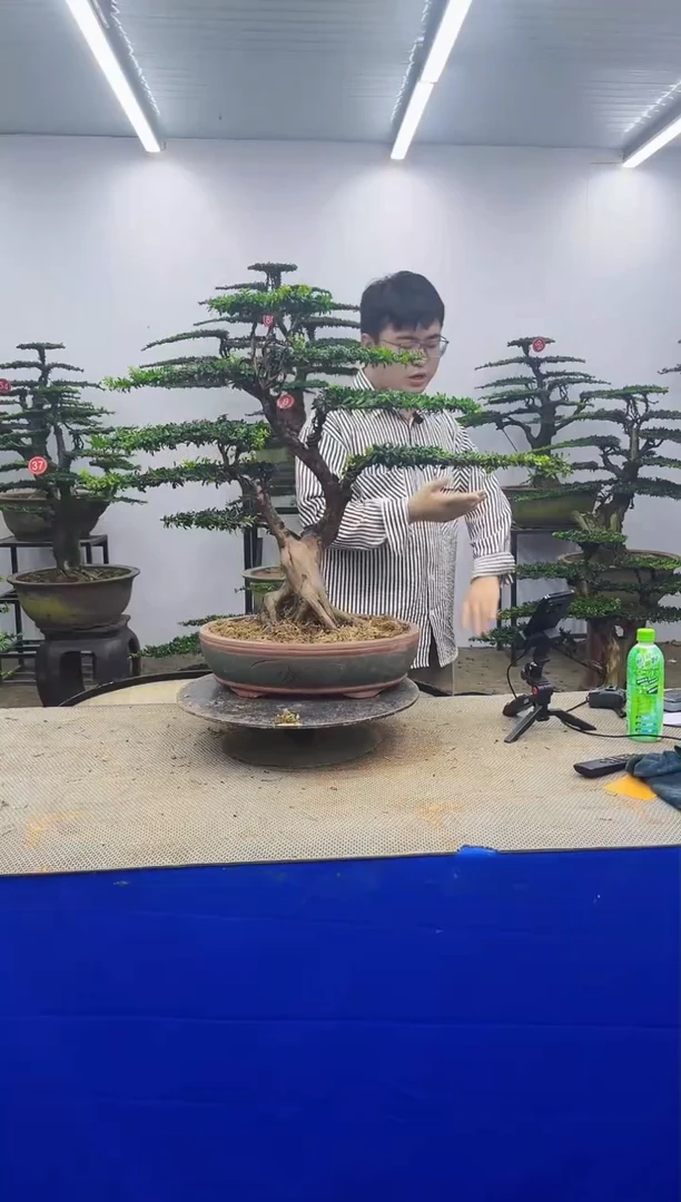 无花朵心***阳一物一拍，所见即所得