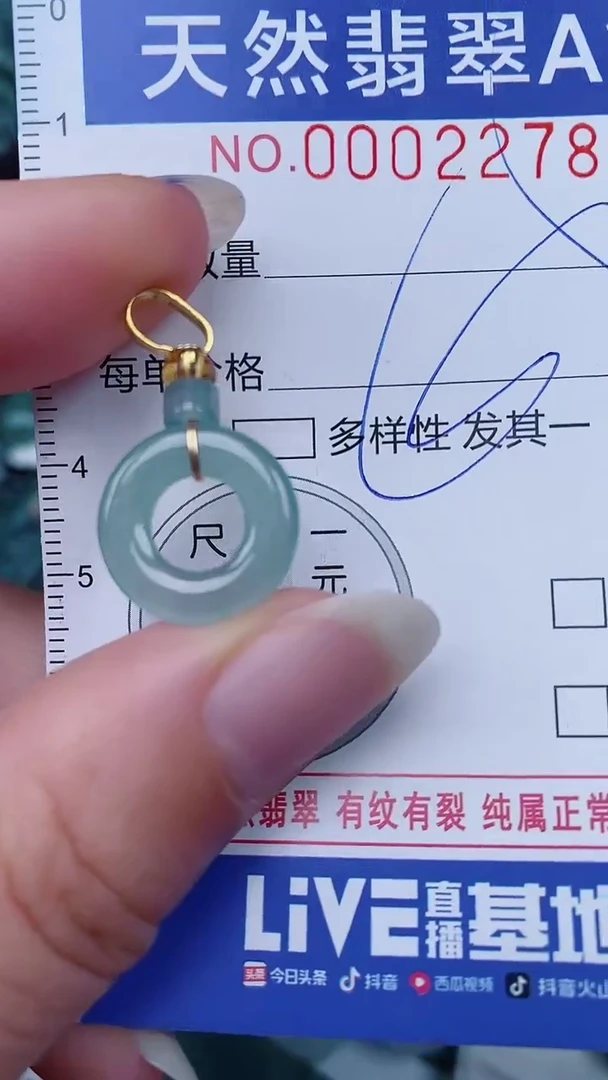 翡翠未镶嵌颈饰00002278