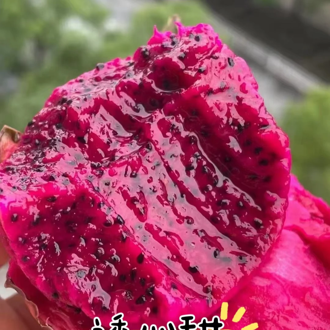 【3颗】火龙果3颗装600g左右