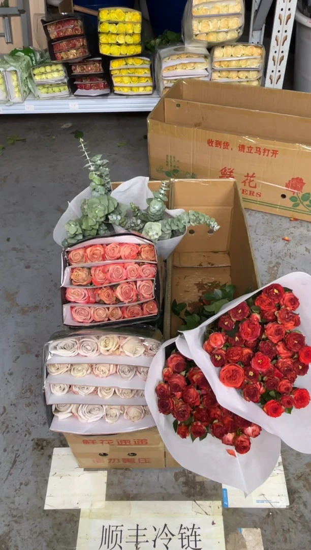 曼塔10扎 共200枝+卡布1扎+巧克力3扎+尤加利2扎