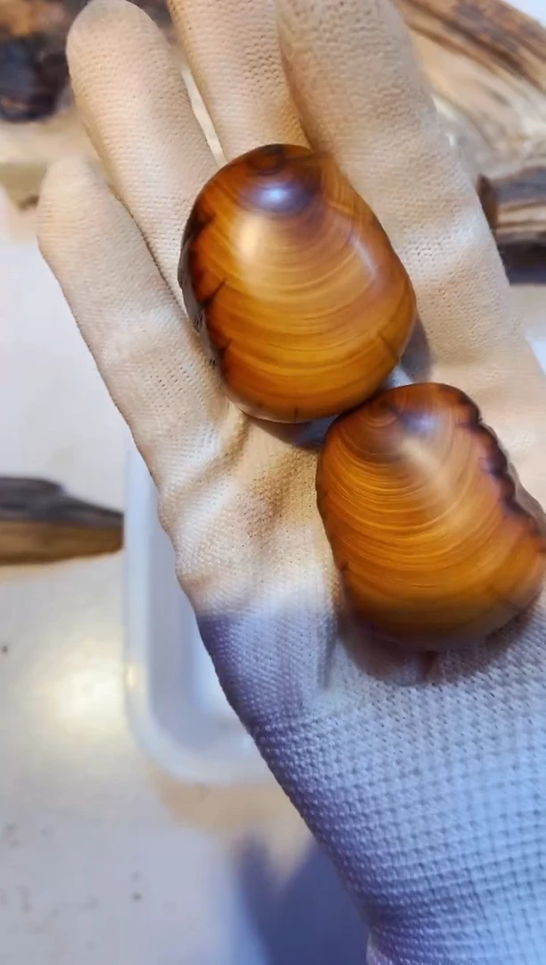 柏木（崖柏）53太行崖柏陈化手把手串