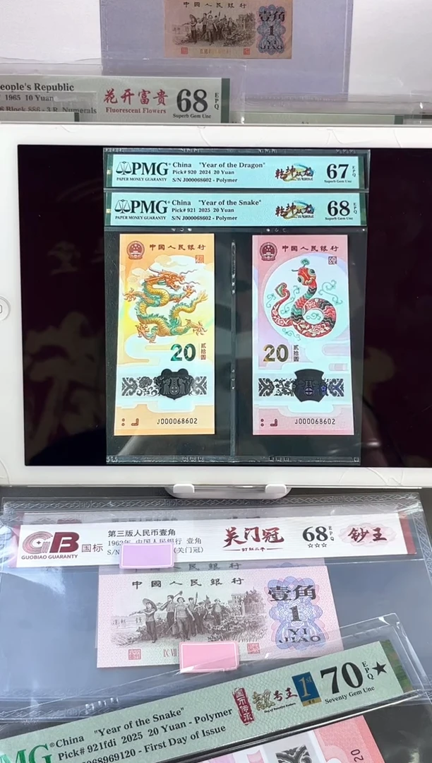塑料乾坤双龙 J000068602 全偶