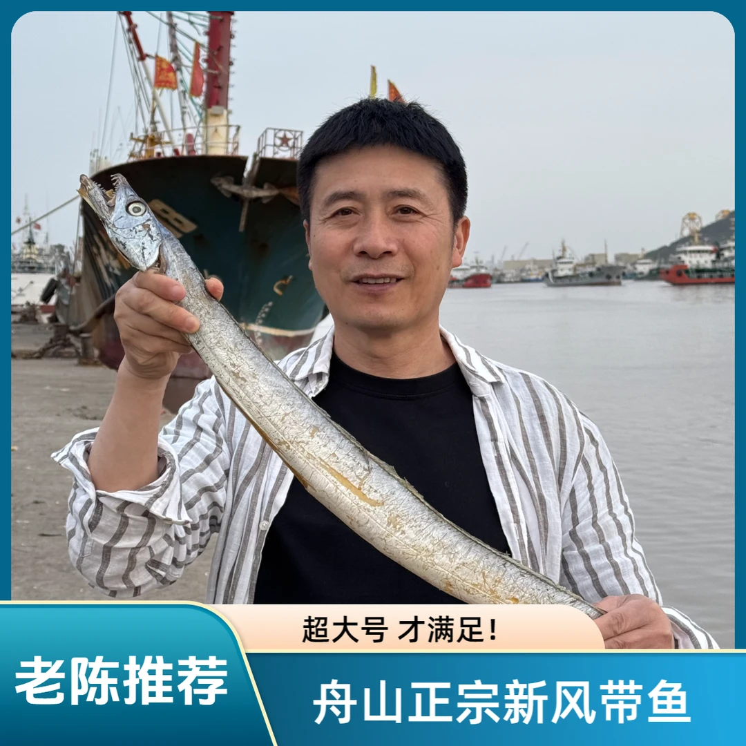 【大大风带鱼】5-7两 现晒整条 舟山新风带鱼 小眼睛雷达网咸油带鱼