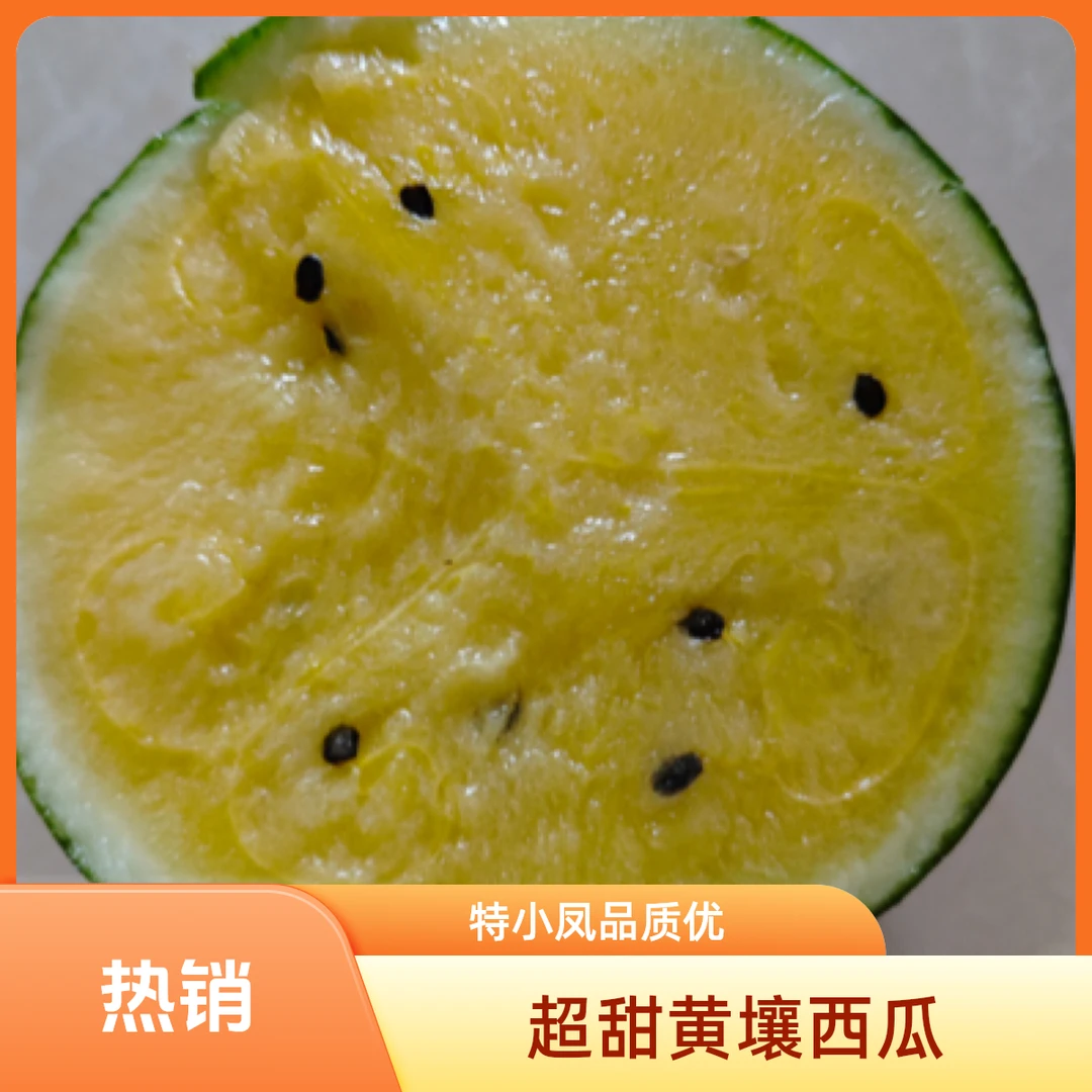 特小凤黄壤西瓜超甜5-7斤西瓜同城配