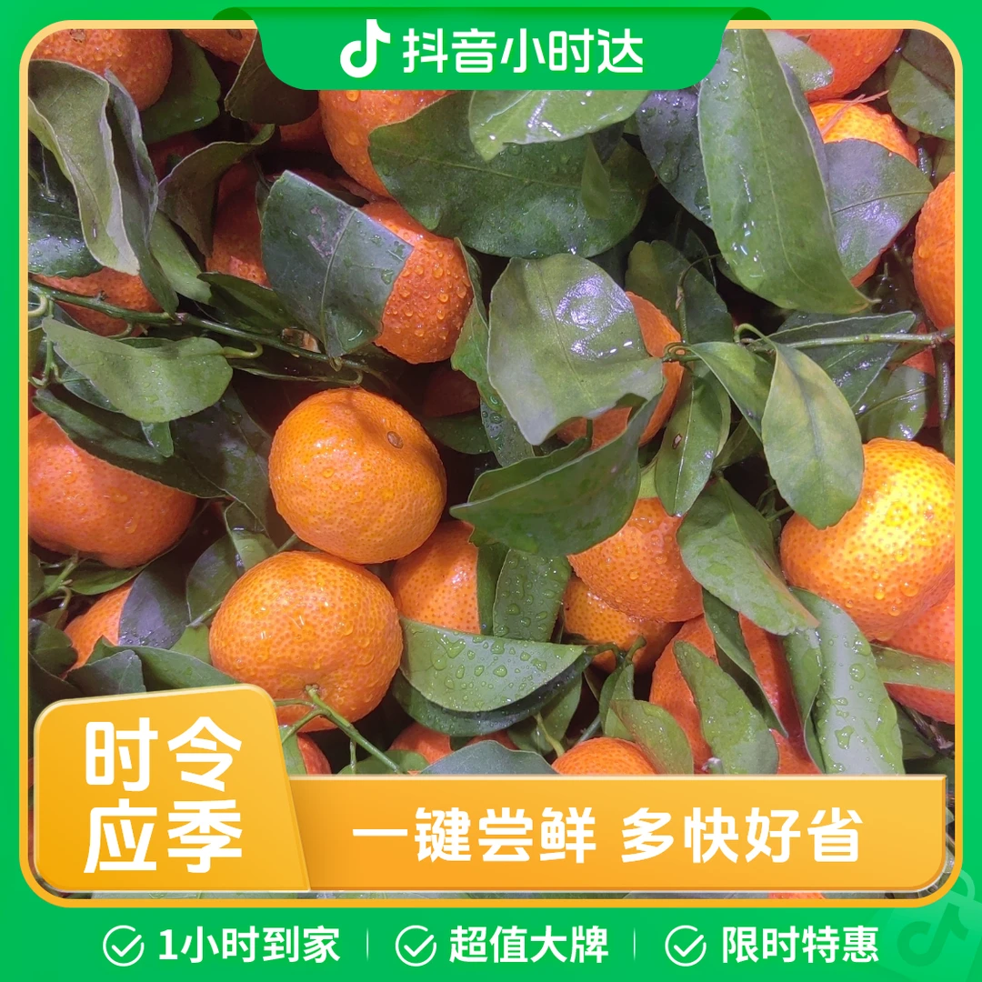 【同城配送】沙糖桔1件 10斤（甜）