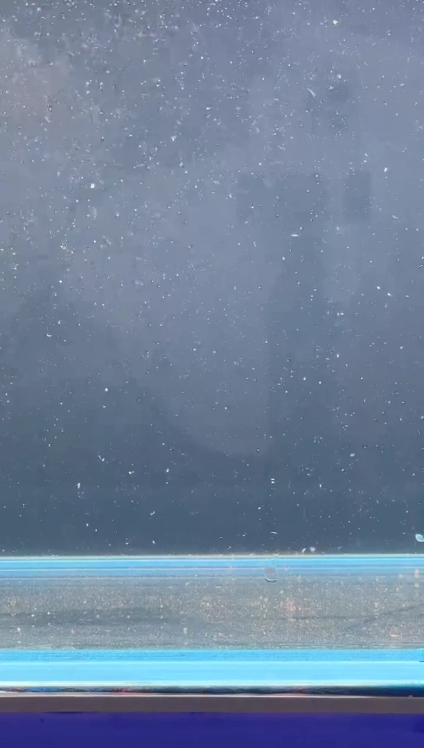 海水鱼吴*生120顺丰包邮12红
