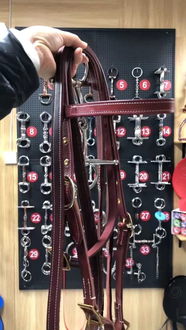 牛皮水勒加H口衔加水勒僵