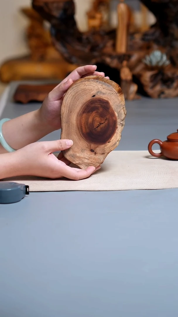 木香樟木切片C2454