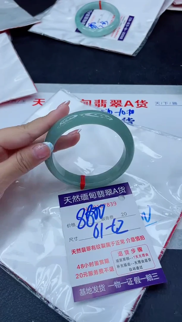 未镶嵌手镯翡翠11111111