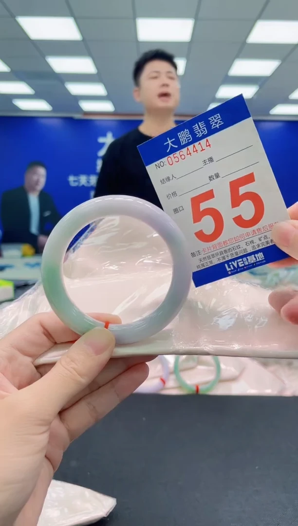未镶嵌手镯翡翠AAAAAAAAA