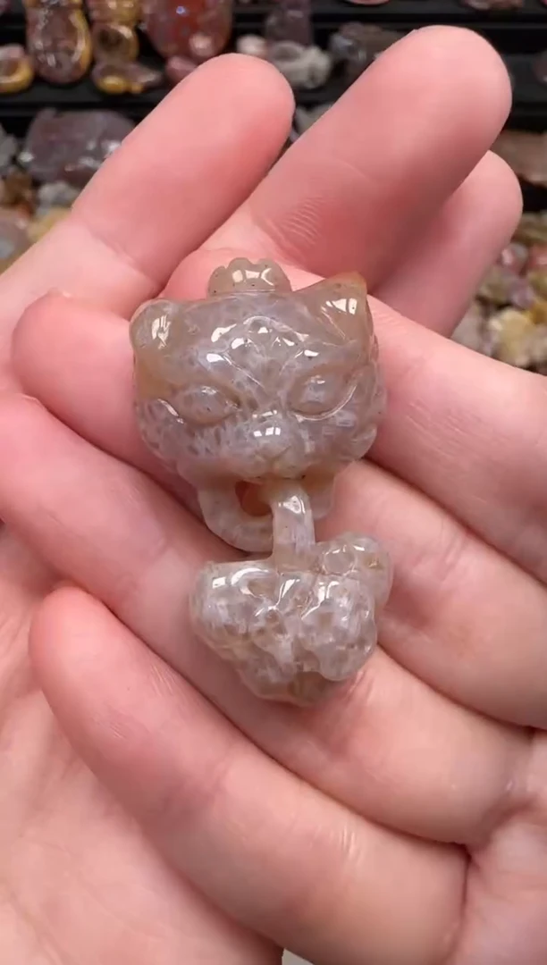 颈饰未镶嵌硅化珊瑚（珊瑚玉）141