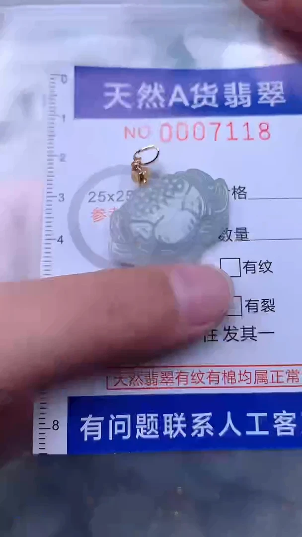 翡翠未镶嵌吊坠(不含链)1