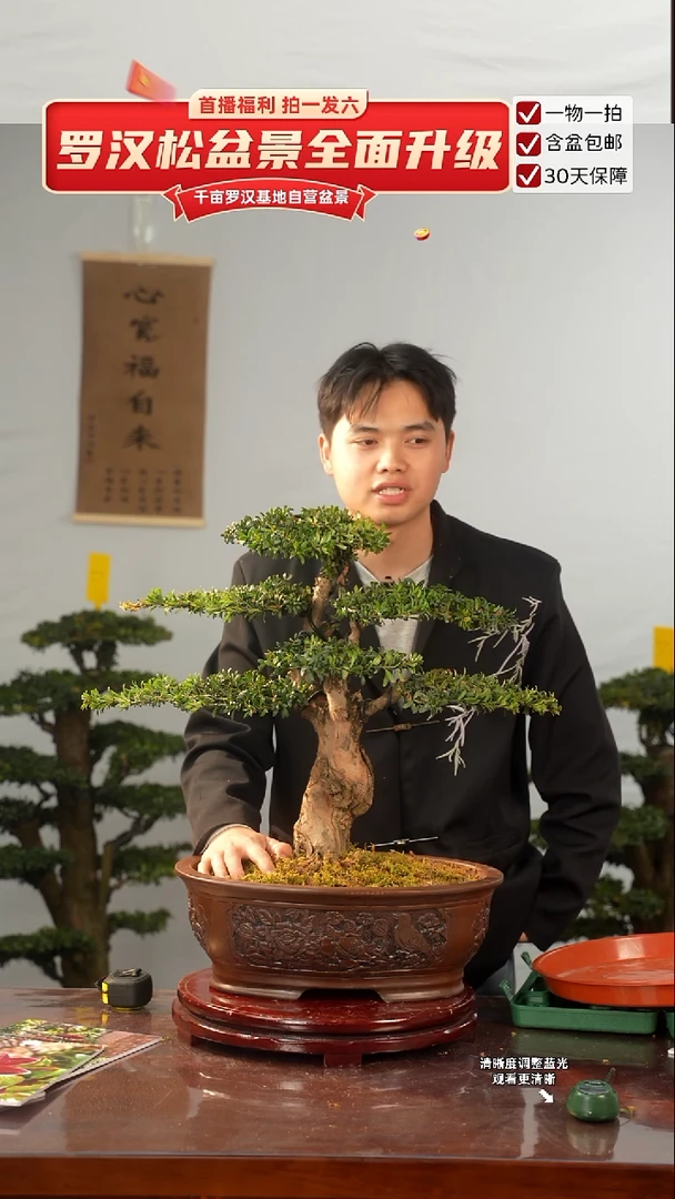 以实际为准00000000