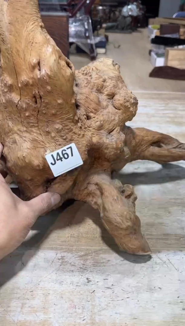 直播定闪专用一**仁直播定闪专用