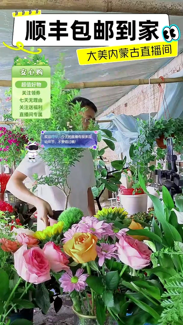 完全开放带花石榴