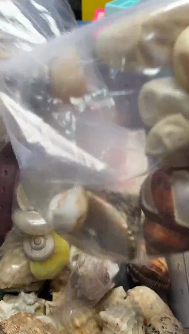 极微微暇 原生壳3个装随机发不挑