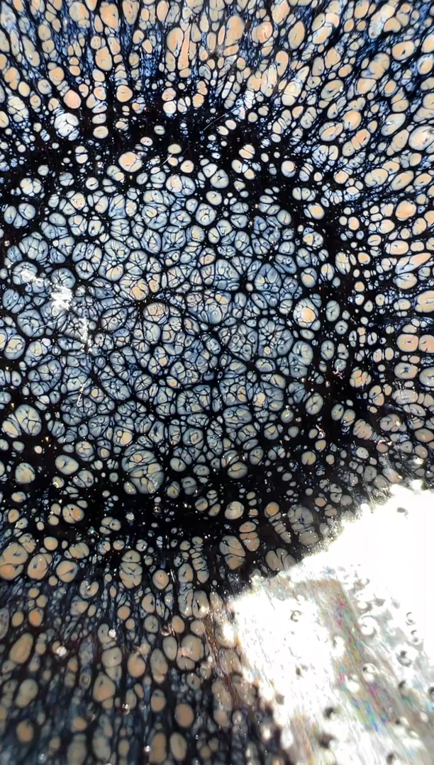 【闪购商品】茶盏老表精选柴烧436