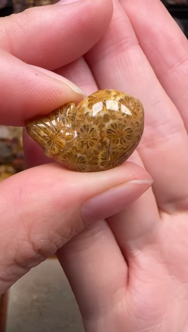 颈饰未镶嵌硅化珊瑚（珊瑚玉）717