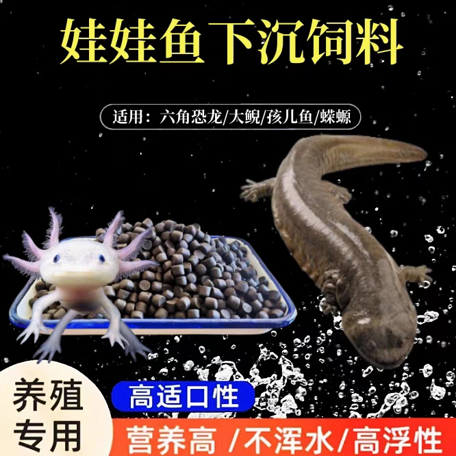 六角恐龙鱼饲料专用蝾螈小颗粒鱼食家用底栖鱼沉底料饵料娃美西螈
