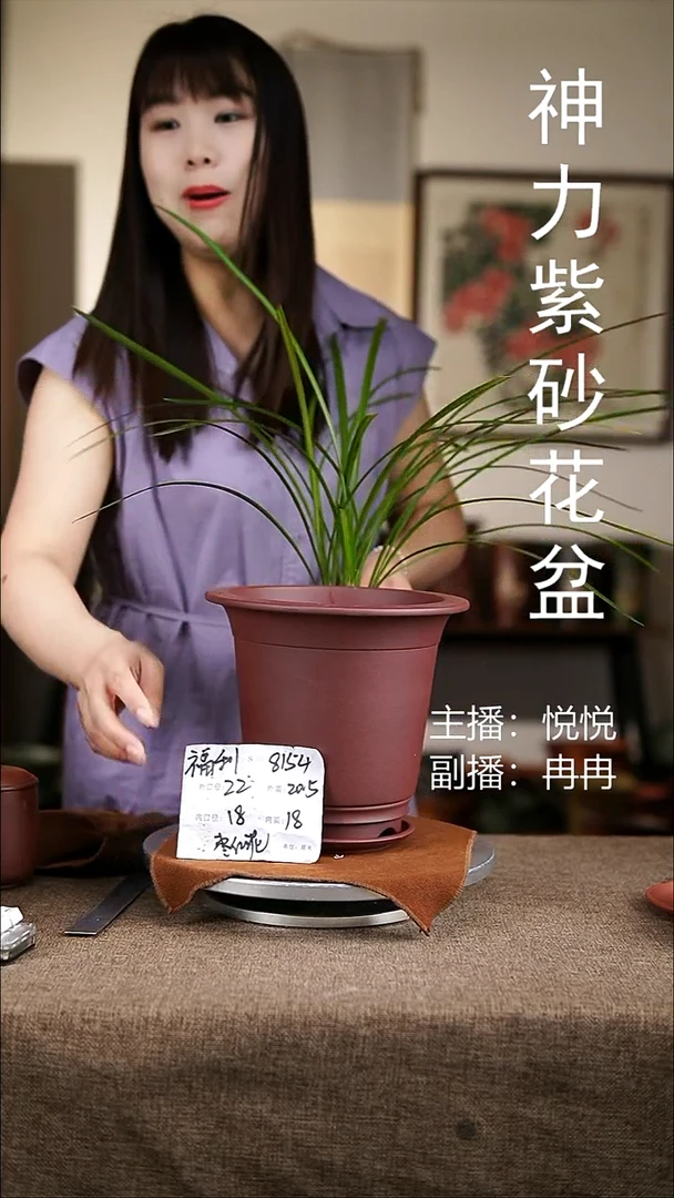 紫砂花盆紫砂花盆8154+z