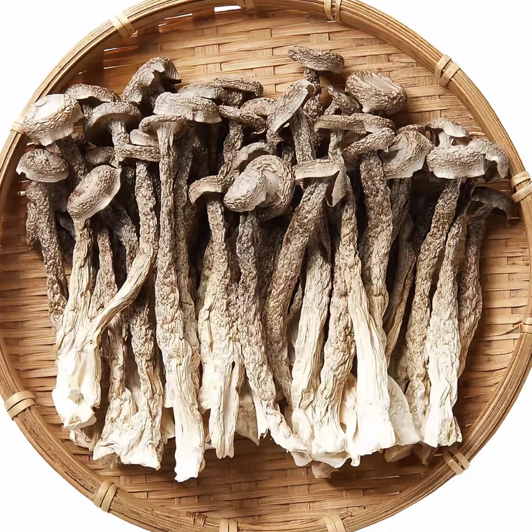 （鹿茸菇）广东人煲靓汤好好喝