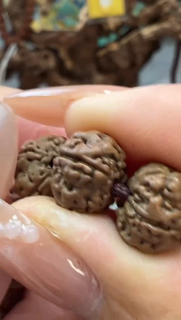 吊坠金刚菩提855五瓣树王108长串