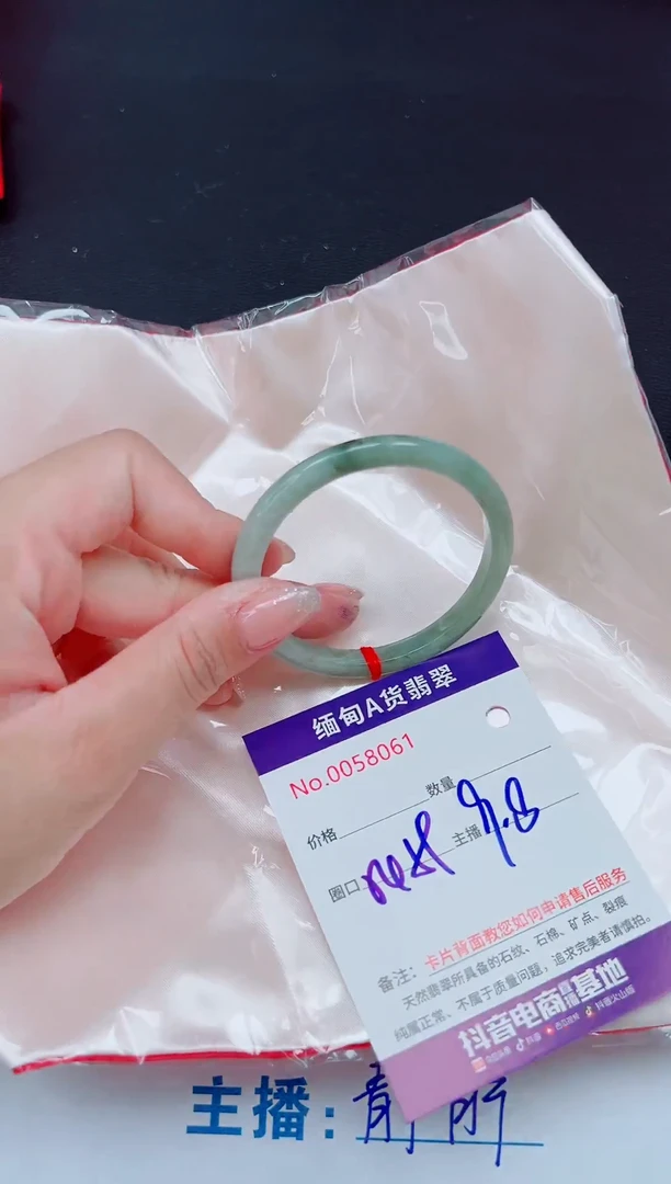 未镶嵌手镯翡翠11111