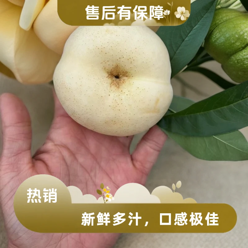 山东蒙阴露天头茬麻点糖点奶油蟠桃新鲜应季脆甜多汁水果京东包邮