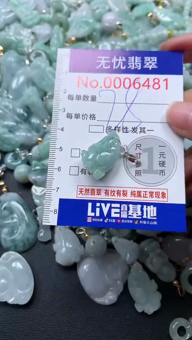 颈饰未镶嵌翡翠6481