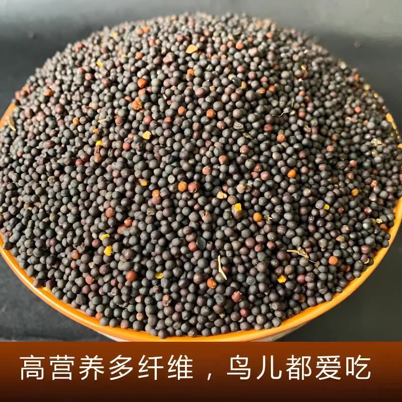 大颗粒优质菜籽虎皮牡丹鹦鹉芙蓉鸟玉鸟鸟粮饲料