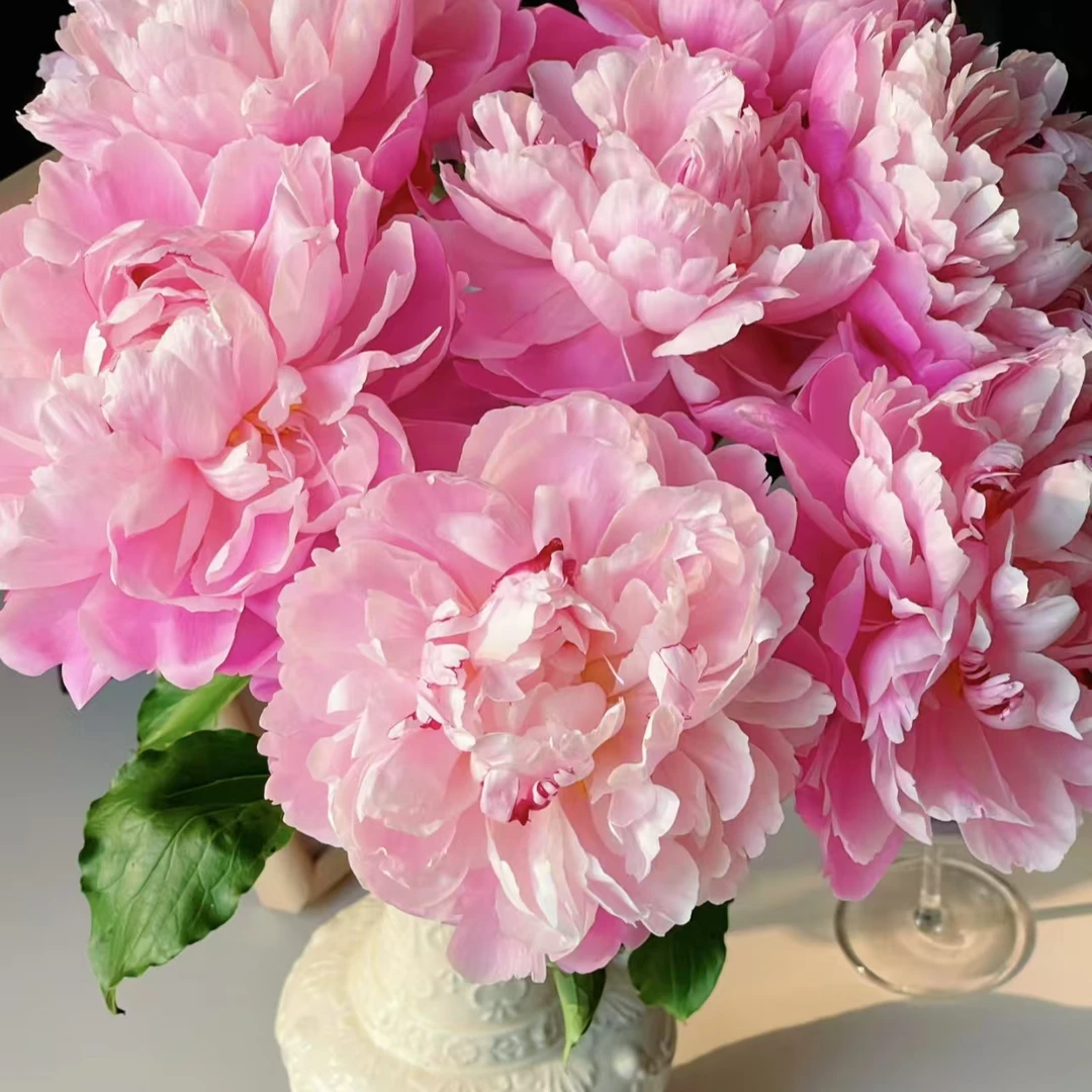 【花本家】超A级 春山奇迹（芍药）丨鲜切室内水培装饰丨顺丰包邮