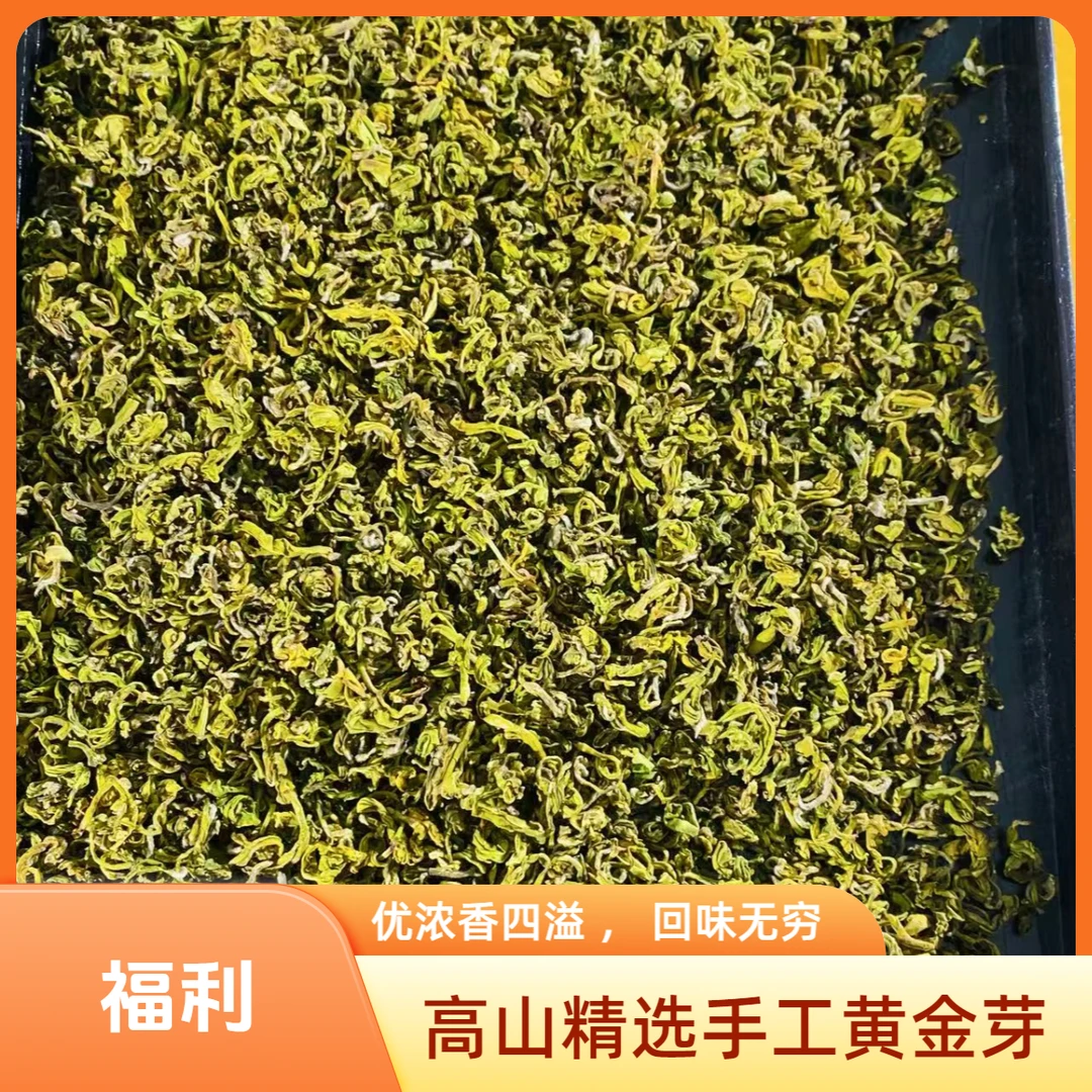新号开播！618福利 2025高山手工黄金芽
