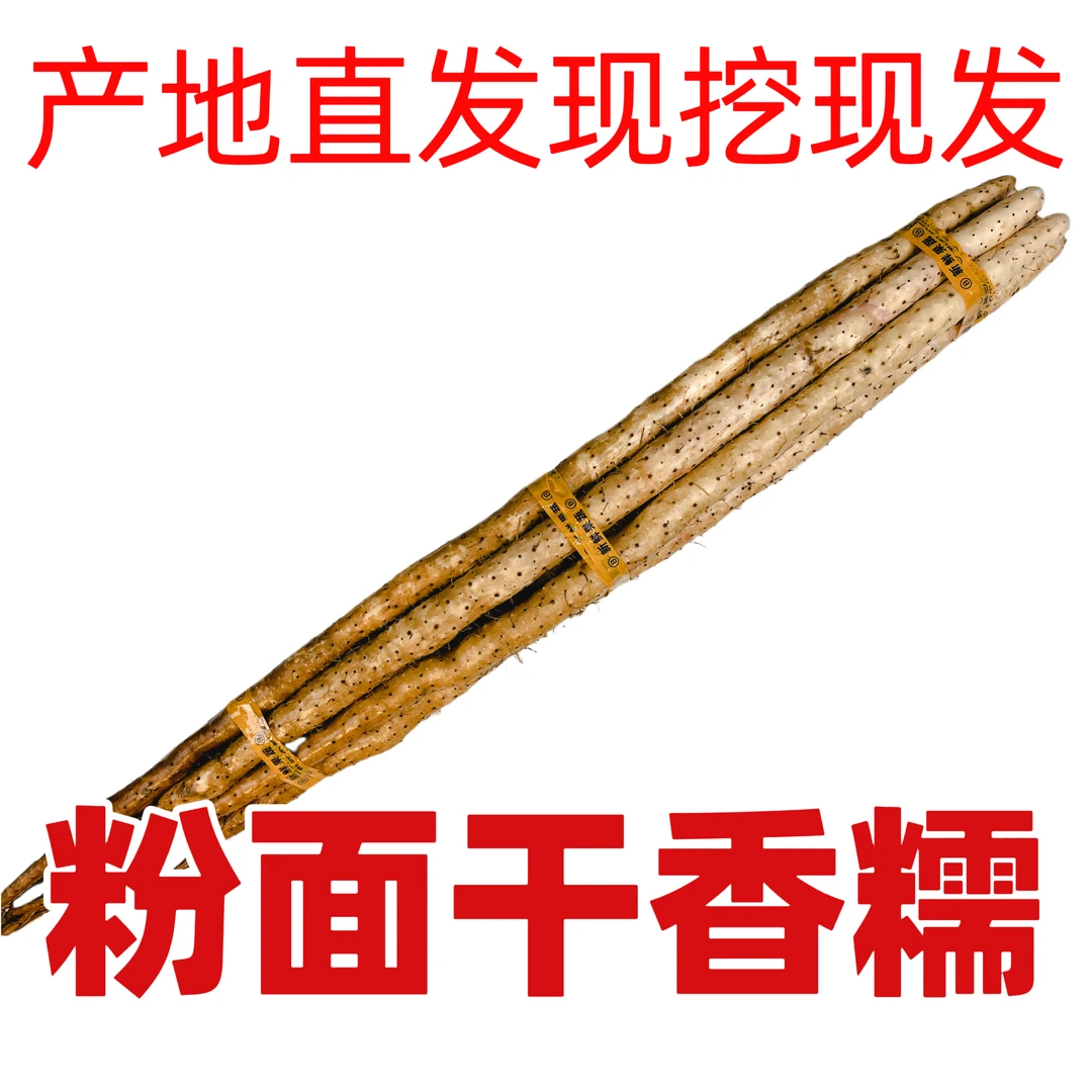 新鲜l垆土山药铁棍山药现挖现发垆土铁棍营养高产地直发5斤