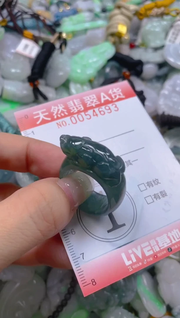 翡翠未镶嵌颈饰闪购0054693