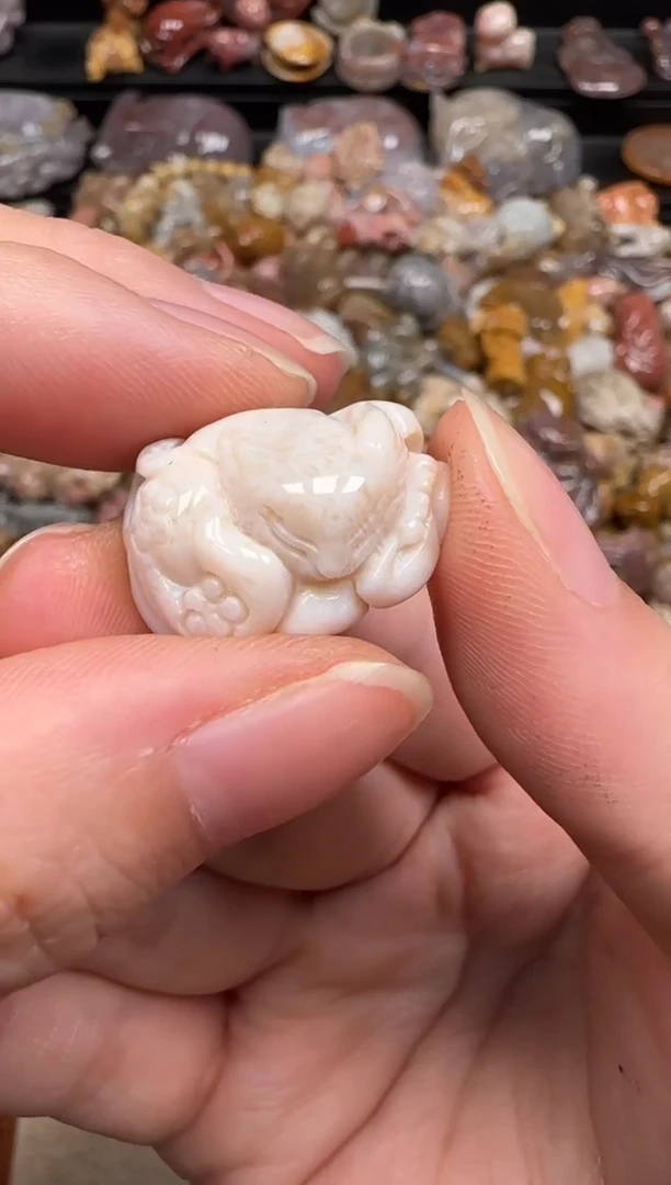 硅化珊瑚（珊瑚玉）未镶嵌颈饰293