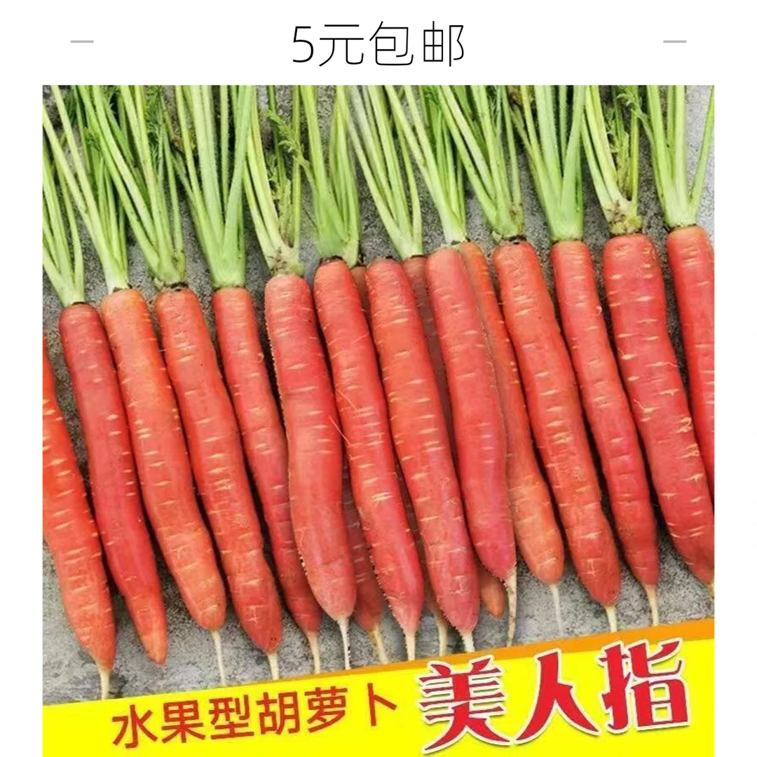 【全场满 5元包邮】 水果胡萝卜种子 三九