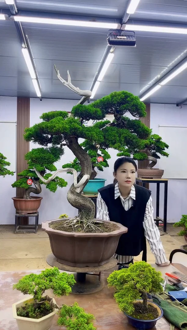 无花朵用****2000000000000000