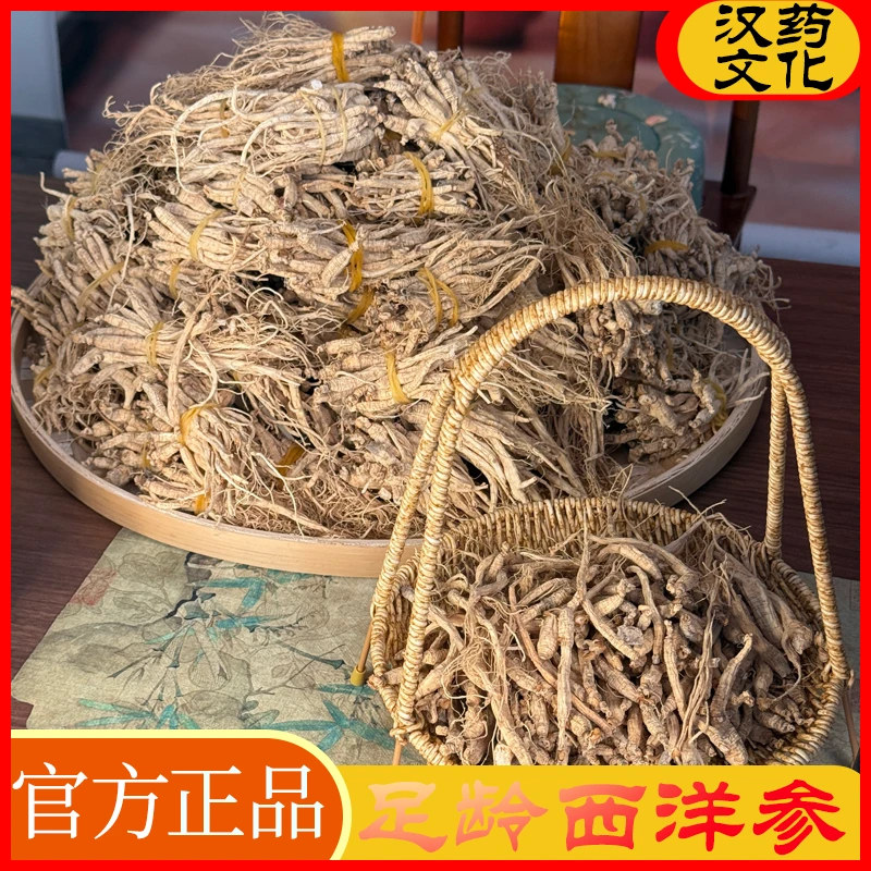 【精选】西洋参条软质枝条2-3克/根参味浓郁足龄老参煲汤煮水好物