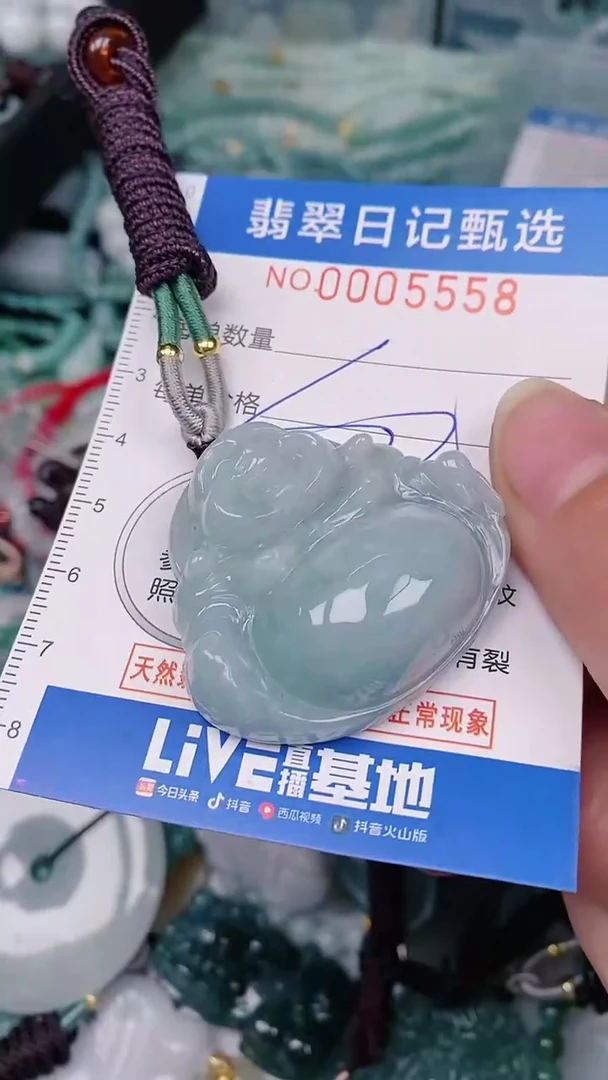 【闪购商品】翡翠颈饰未镶嵌00005558