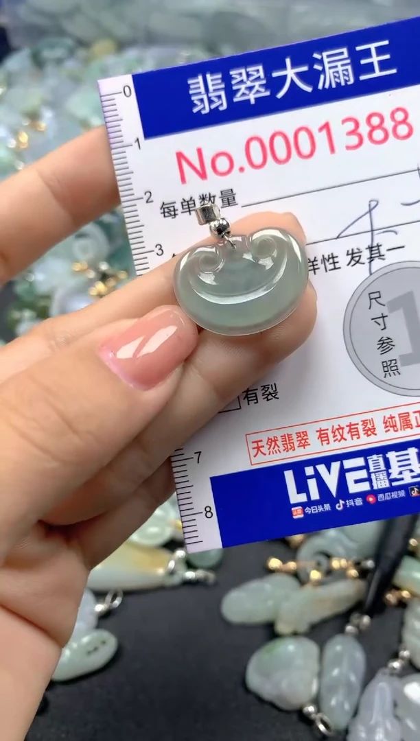 颈饰未镶嵌翡翠1388