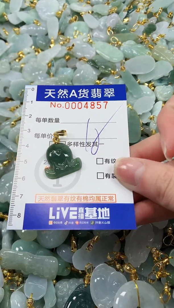 颈饰未镶嵌翡翠纯天然a货翡翠