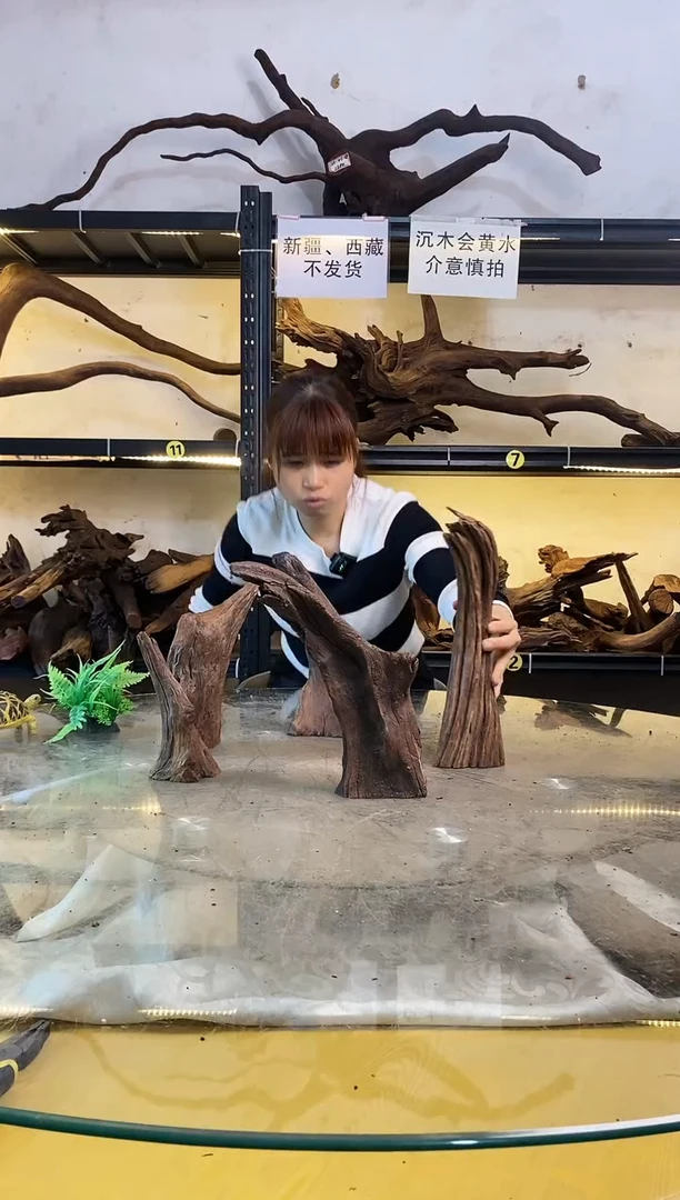 【闪购商品】柚木木艺鱼缸造景沉木246