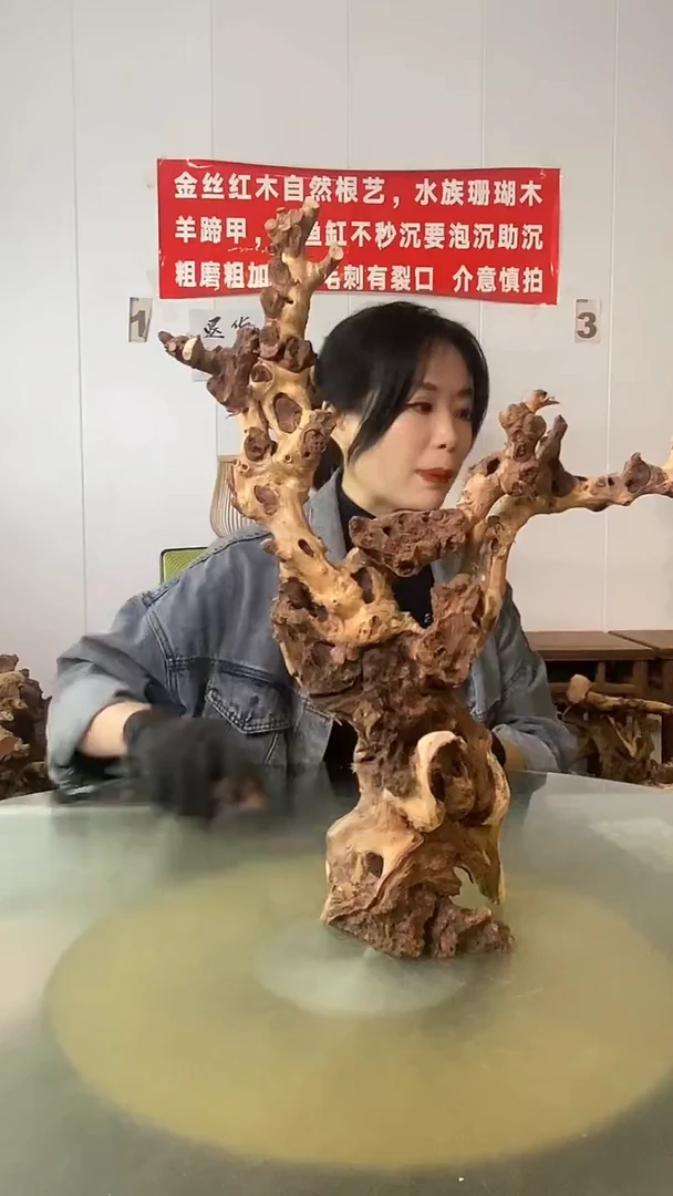 香榧木心***海 金丝红木 羊蹄甲