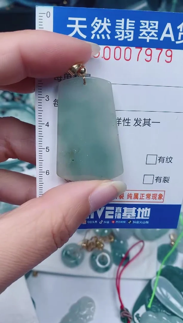 颈饰未镶嵌翡翠00007979