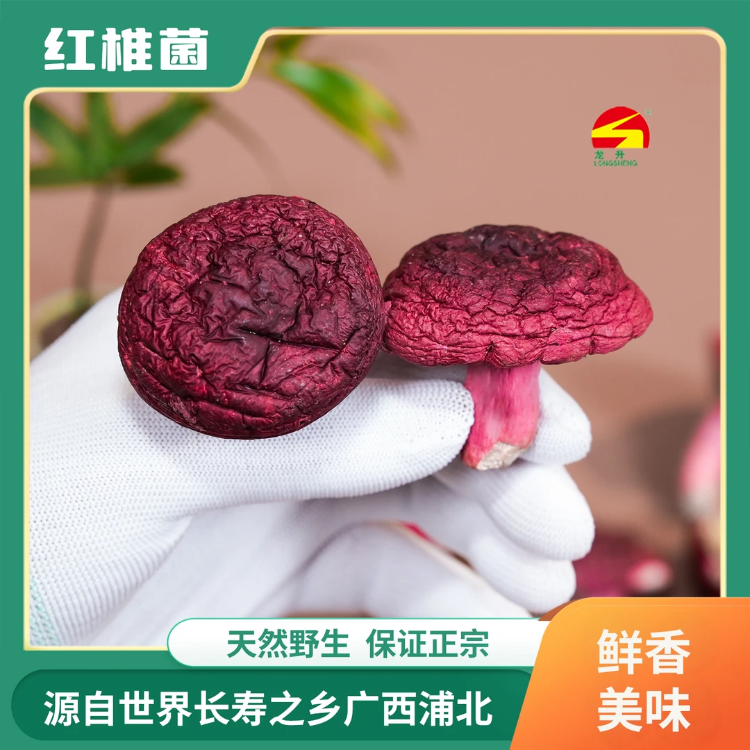 浦北龙升红椎菌免洗红菇散装100g国家地理标志保护产品特级