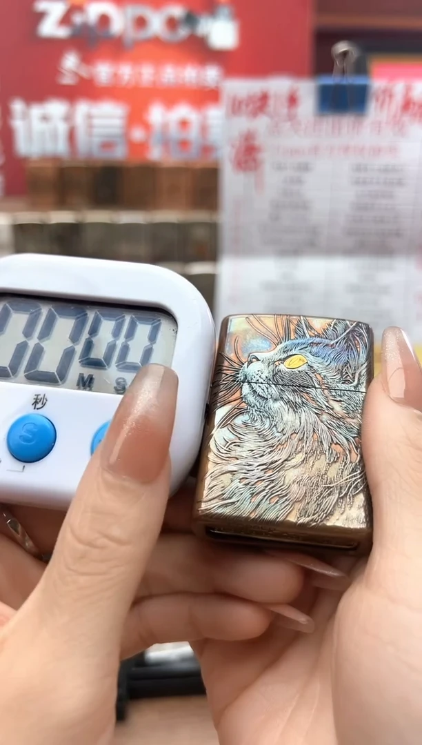 紫铜重甲仰望星空猫