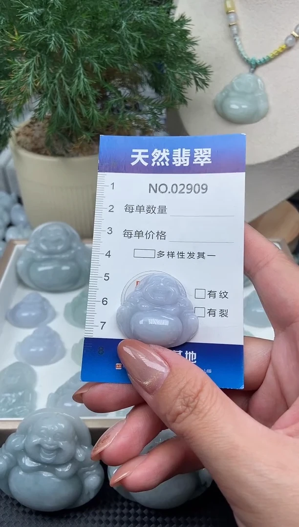 颈饰未镶嵌翡翠纯天然A货缅翡2909